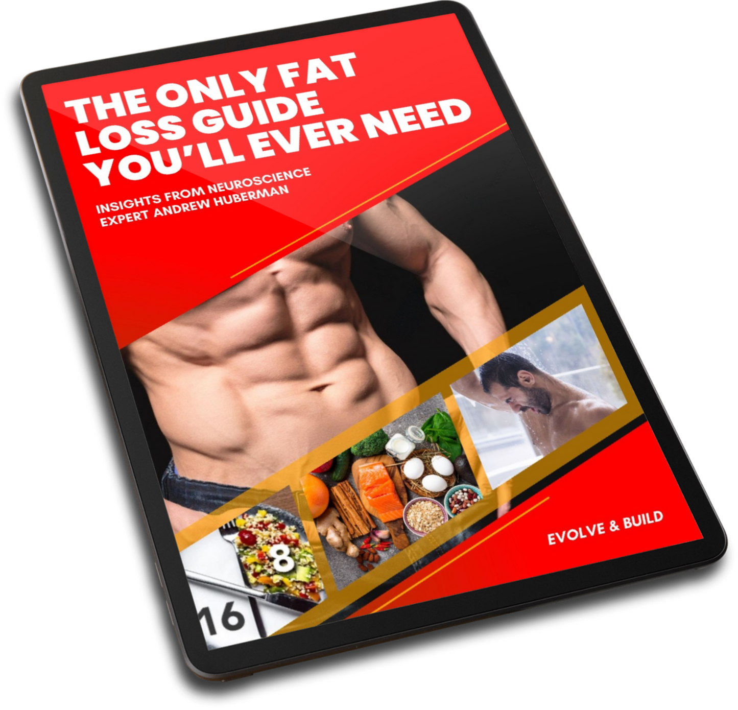 The Only FAT LOSS Guide You Need